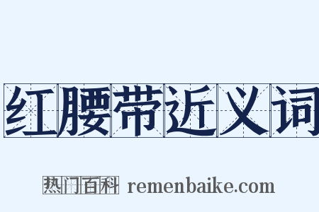 红腰带近义词是什么意思的图片